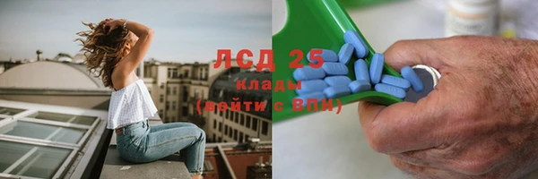 ешки Белокуриха