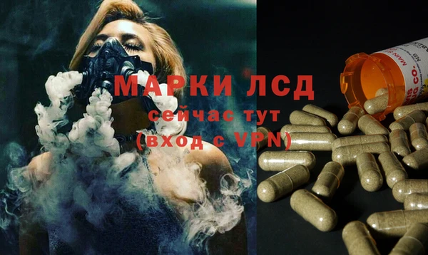 ешки Белокуриха