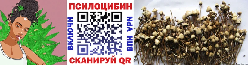 mega как войти  что такое   Кемь  Галлюциногенные грибы MAGIC MUSHROOMS 